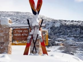 נופש בחרמון: חופשה הררית של טבע, שלג ונוף פתוח