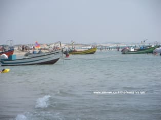 אטרקציות במישור החוף - חוף דור נחשולים