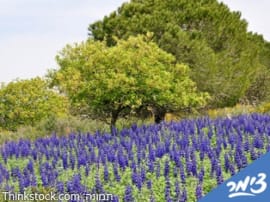 Guide to nature reserves and N.P.'s page