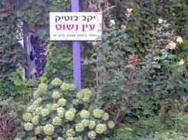 Belle Offri - Ein Nashut Winery
