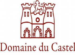 לדף הבית של יקב קסטל Domaine du Castel winery
