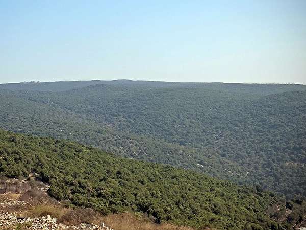 אירוח%20דרוזי%20חורפיש%20-%20הפסגה%20,%20חורפיש