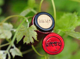 Ortal boutique winery