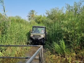 Razors  Star - RZR TOURS