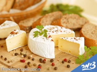 עז עיז - גבינות עיזים - אטרקציה בבקעת הירדן