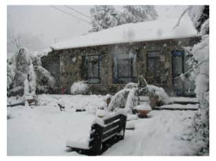 לדף הבית של פנינת הבזלת בגולן - צימר מבודד עם בריכה