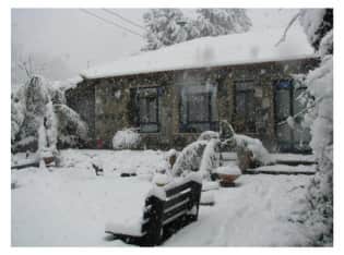 לדף הבית של פנינת הבזלת בגולן - צימר מבודד עם בריכה