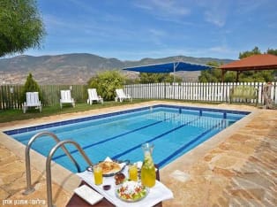 לדף הבית של זית חלב ודבש