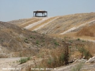 לדף הבית של תל תאומים - עמק המעיינות