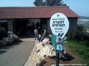 אטרקציות בחבל יואב -יהודה - מערת הנטיפים בשמורת אבשלום