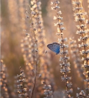 חופשה בצימר מחוץ לעונת השיא