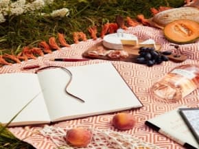 שבועות 2026: חג של טבע, התחדשות וחופש