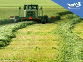 אירוח כפרי בצימר בקיבוץ: חופשה באווירה רגועה ובמחיר נוח