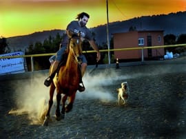 Monfortwito Ranch