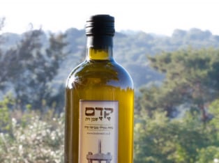 לדף הבית של שמן זית קדם