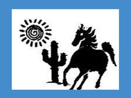 The Cactus Ranch