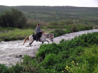 חוות רוכבי הירדן - טיולי סוסים בגולן - אטרקציה בצפון