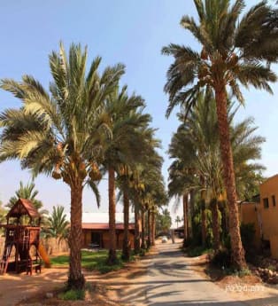 לדף בית העסק המומלץ: צימר לוריא בצל התמר, חצבה