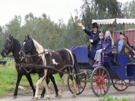 Roge`s Horse and Carriage