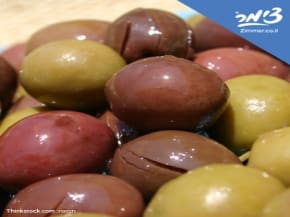 שמן זית ובתי בד בישראל: מסורת, טעמים וחוויית תיירות חקלאית