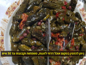 מצפה%20רם%20-%20The%20View%20,%20מגדל%20שמס