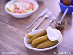 חומוס%20בחצר%20,%20אניעם