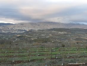 ספדי%20-%20צימרים%20למרגלות%20הר%20חרמון%20,%20מסעדה
