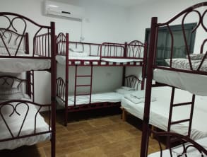 בקתות%20שירת%20דויד%20,%20בר%20יוחאי