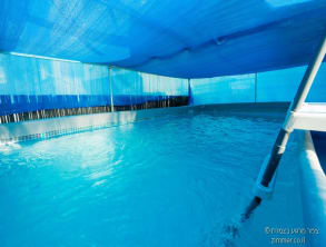 מרגוע%20בצמרת%20,%20יבנאל