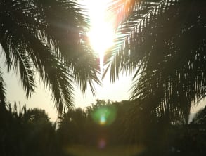 בקתות%20לב%20ברמות%20,%20רמות