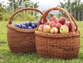 בקתות%20בנוף%20ירדן-בוקינג%20,%20בית%20הלל