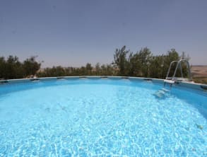 פנינת%20סמדר%20,%20יבנאל