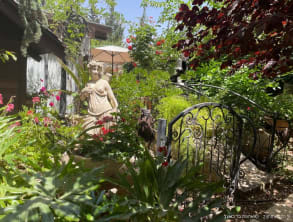 אחוזת%20בר%20בשעל%20-%20לזוגות%20בלבד%20,%20שעל