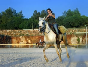 חוות%20מונפורטויטו%20,%20גורן