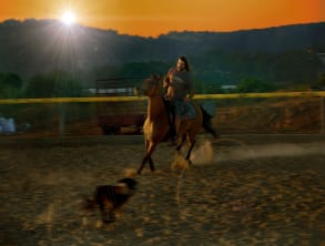 חוות%20מונפורטויטו%20,%20גורן