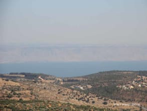 אגדה%20בחורש%20,%20עין%20אל-אסד