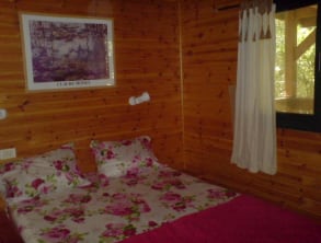 בקתות%20בבוסתן%20-%20עמליה%20,%20לפידות