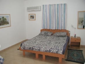 כוכב%20הצפון%20-%20אפלטון%20עליזה%20,%20מרגליות