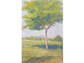 מוזיאון%20בר%20דוד%20,%20ברעם%20-%20קיבוץ