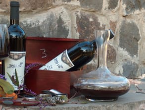 יקב%20עין%20נשוט%20-%20חוות%20בל%20עופרי%20,%20קדמת%20צבי