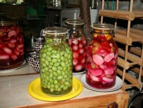 יקב%20עין%20נשוט%20-%20חוות%20בל%20עופרי%20,%20קדמת%20צבי