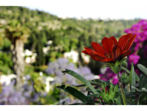 בית%20הקשתות%20–%20הצימר%20הניסתר%20בליבה%20של%20עין%20כרם%20,%20עין%20כרם