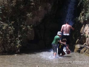 שמורת%20טבע%20עין%20גדי%20-נחל%20דוד%20,%20עין%20גדי