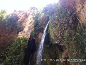 שמורת%20טבע%20עין%20גדי%20-נחל%20דוד%20,%20עין%20גדי