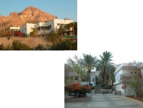 אכסניית%20אנ''א%20עין%20גדי%20,%20עין%20גדי