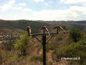 חי%20בר%20כרמל%20,%20חיפה