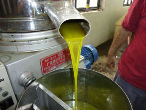 דרך%20החלב%20,%20בית%20הלל