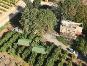 בפרדס%20של%20הרמן%20בקתות%20עץ%20עם%20גקוזי%20,%20בית%20הלל