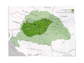 מוזיאון%20למורשת%20יהדות%20הדוברת%20הונגרית%20,%20צפת