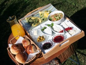 מקום%20לחלום%20,%20ציפורי